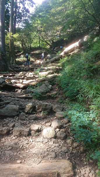 大山登り