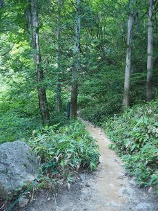 中房温泉からの登山道