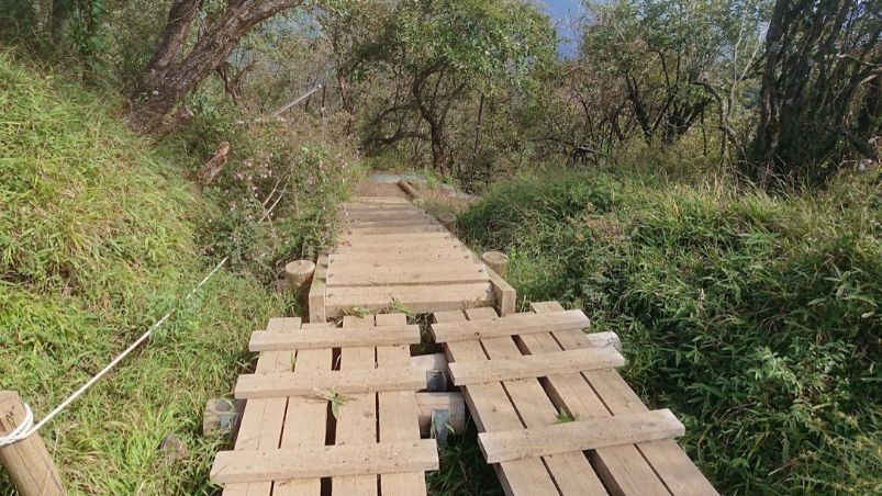 大山から見晴らし台への下山道