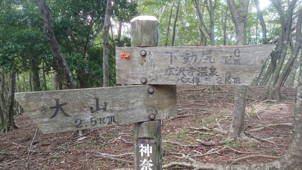 唐沢峠の分岐。三峰山方面