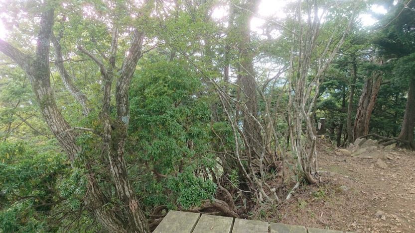 三峰山山頂の眺望