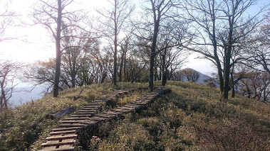 丹沢ー塔ノ岳の尾根１