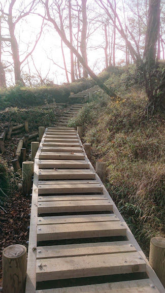 丹沢ー塔ノ岳の階段