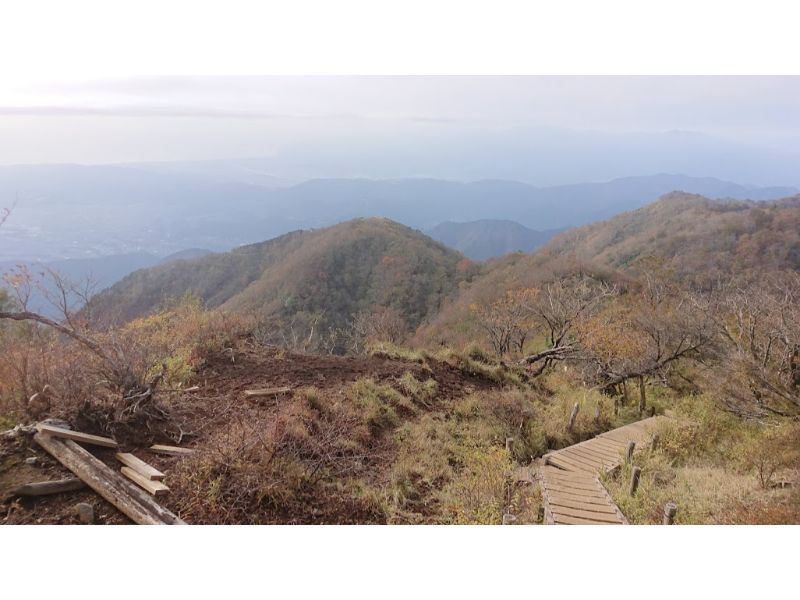 塔ノ岳からの下山道