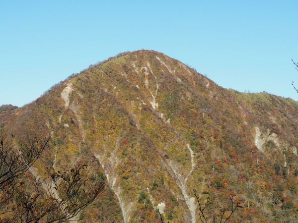 丹沢主稜からみる蛭ヶ岳