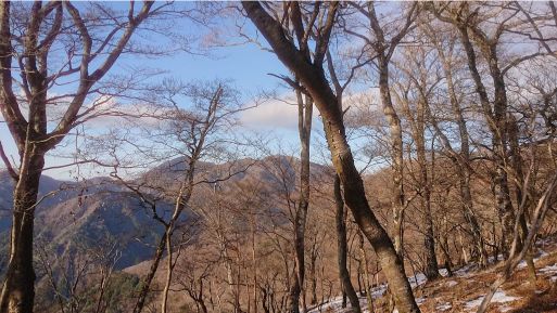 蛭ヶ岳が見える