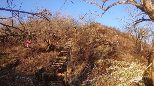 塔ノ岳への最後の登り