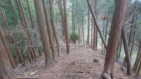 華厳山から下山