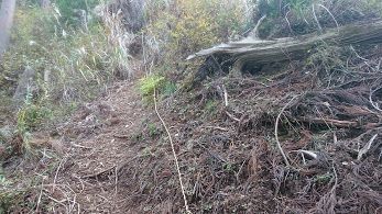 荒れた登山道