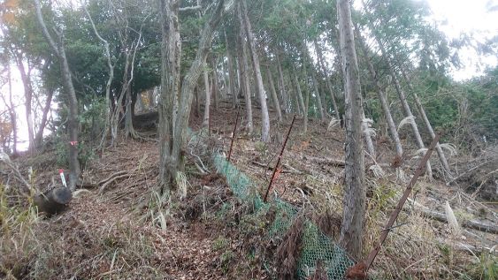 急勾配の登山道