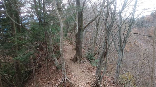 高取山への道