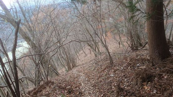 高取山の下山道