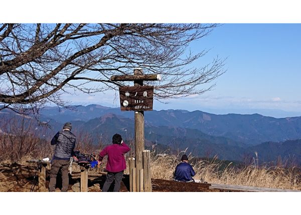 棒ノ折山山頂