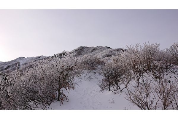 大山６合目から山頂へ