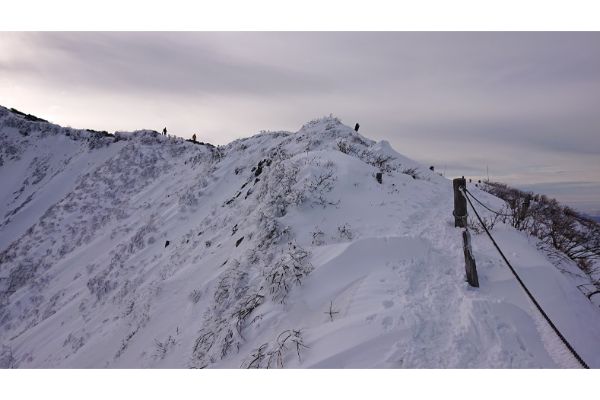 大山の稜線へ