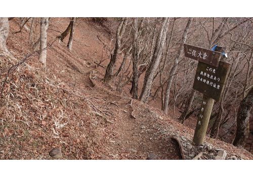 後沢乗越からの西山林道方面