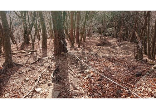 鍋割山からの下山道３