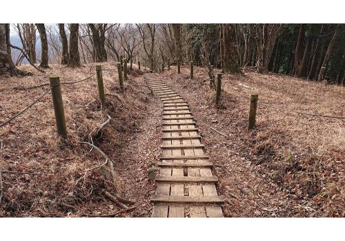 鍋割山からの下山道（木道）
