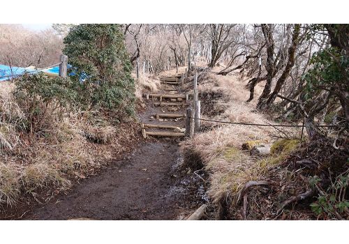 鍋割山からの下山道