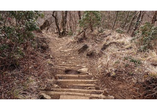 鍋割山からの下山道（階段）