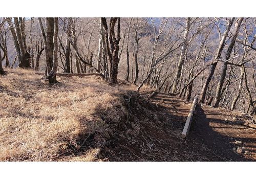 鍋割稜線との合流点