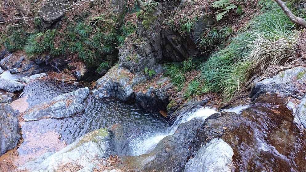 棒ノ折山登山道３
