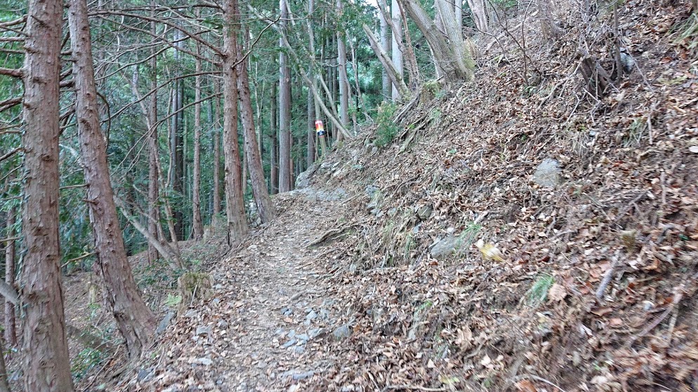 棒ノ折山登山道