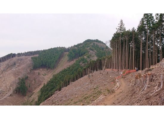  惣岳山への尾根