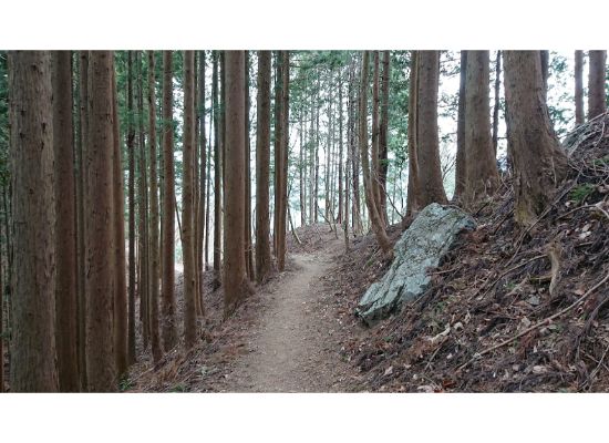  岩茸石山から 惣岳山 へ