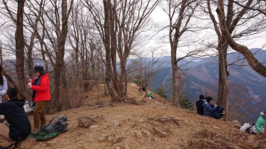  岩茸石山の山頂