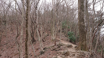 黒山からの登山道２