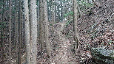 黒山からの登山道