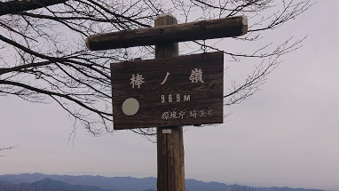 棒ノ折山山頂