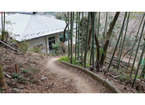  惣岳山 からの登山道４