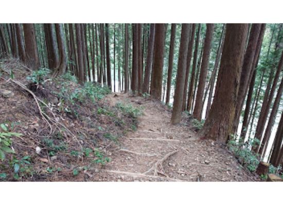  惣岳山 からの登山道３