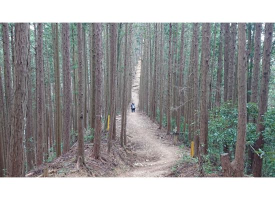 惣岳山からの登山道2
