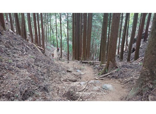  惣岳山 からの登山道