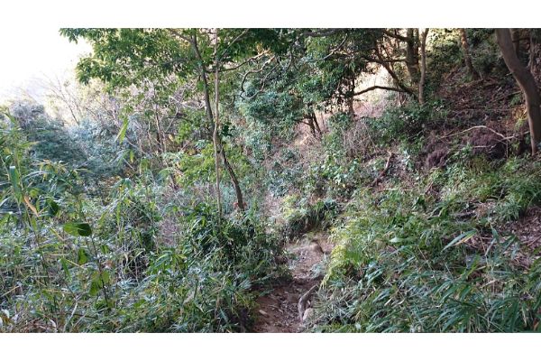 八王子城からの登山道