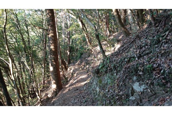 八王子城神社からの登山道２