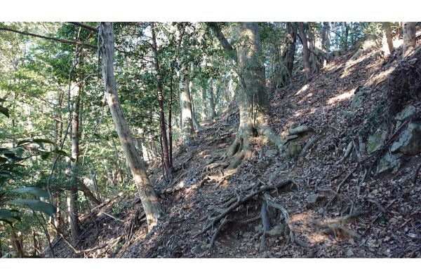 八王子城神社からの登山道３