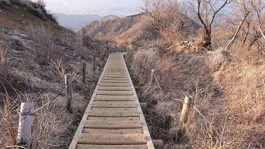 塔ノ岳下山直後