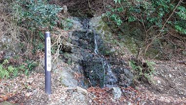 戸川林道の水場