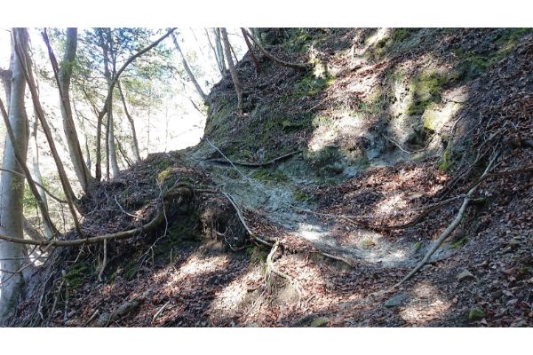 畦ヶ丸への登山道３