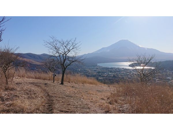 高指山からの山中湖