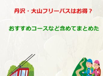 丹沢大山フリーパスはお得？