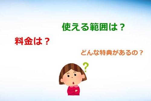 フリーパスの概要を疑問に思う人