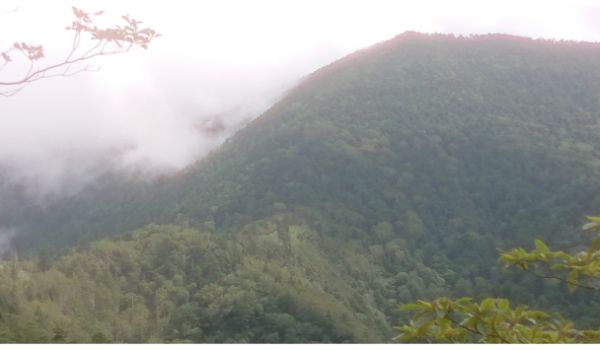 飛龍山を望む