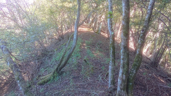 秦野峠へ