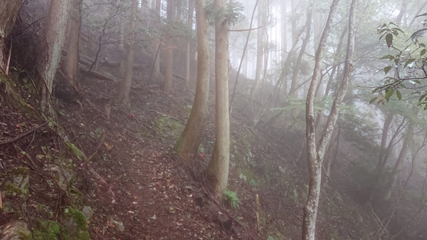 整備された不老山の登山道２