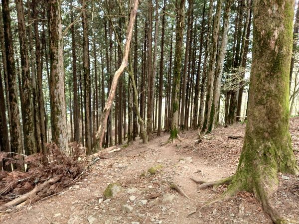 武甲山の下山スターと